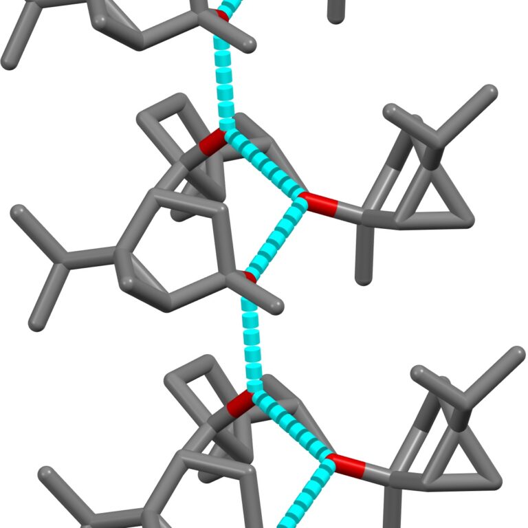 (E)-(R)-4-thujanol